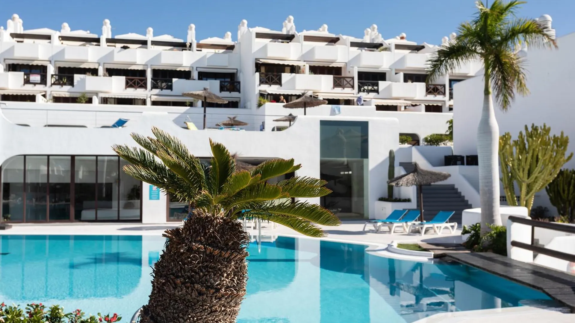 The Paradise Suites By Anne, Charm Apartment In Adeje Costa Adeje   Costa Adeje (Tenerife)