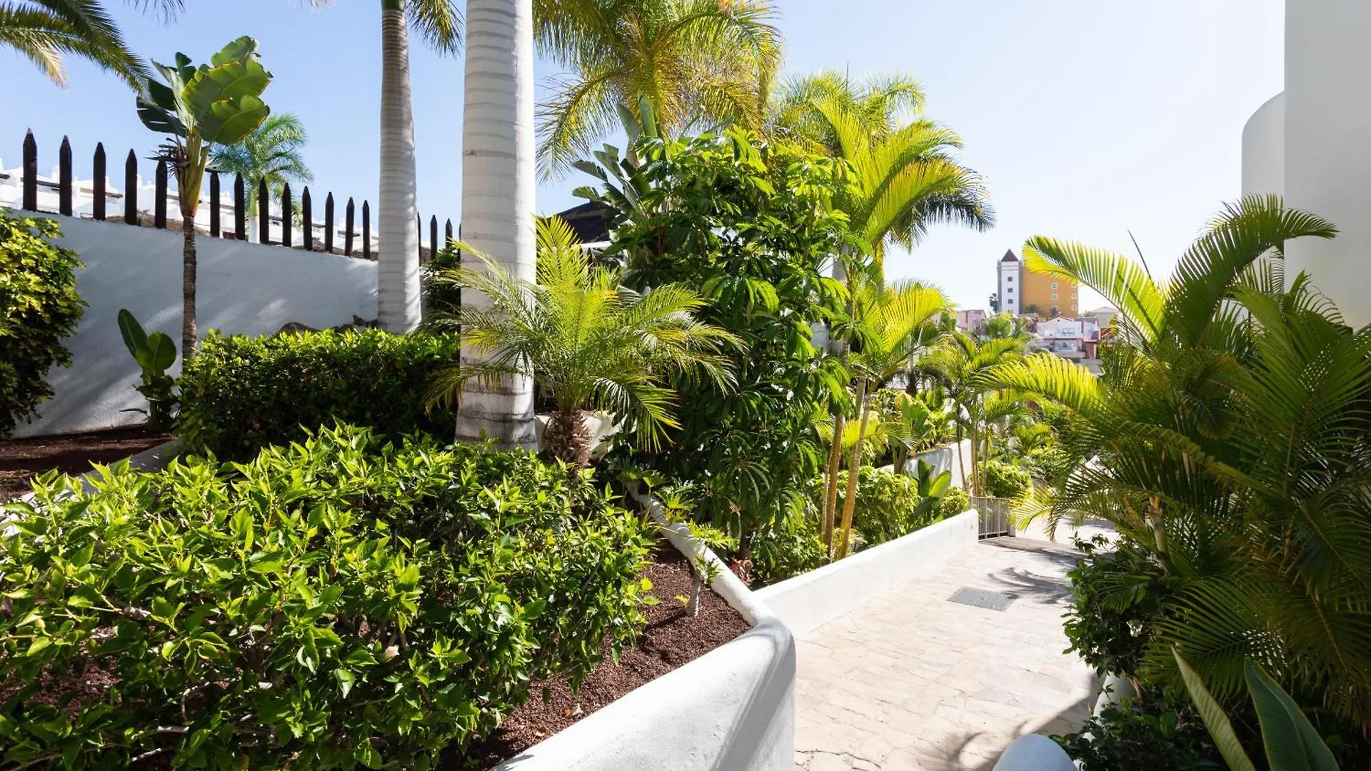 The Paradise Suites By Anne, Charm Apartment In Adeje Costa Adeje